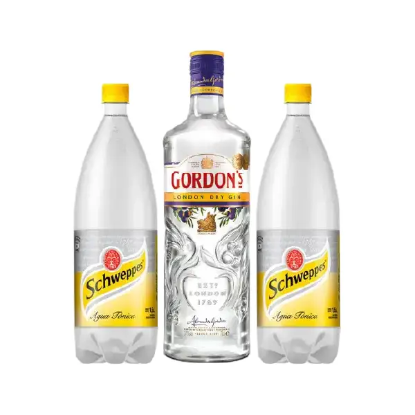 Gordon´s + Tónica